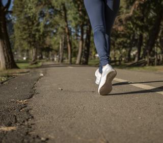 The legs of a runner, shown racing down a forested road.