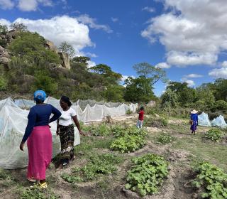 HERD participants tend their community garden