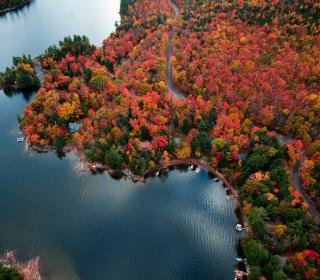 Aerial view of a northern Canadian lake with fall colours.