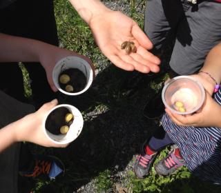 A group of campers at the Vacation Bible School hold a bunch of snails and slugs.