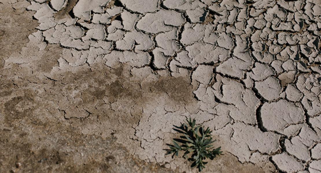 Cracked dry ground in desert area