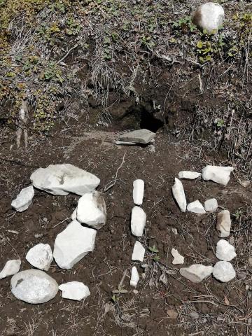 Rocks on the ground in the shape of the number 215