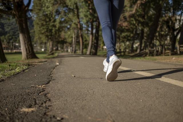 The legs of a runner, shown racing down a forested road.