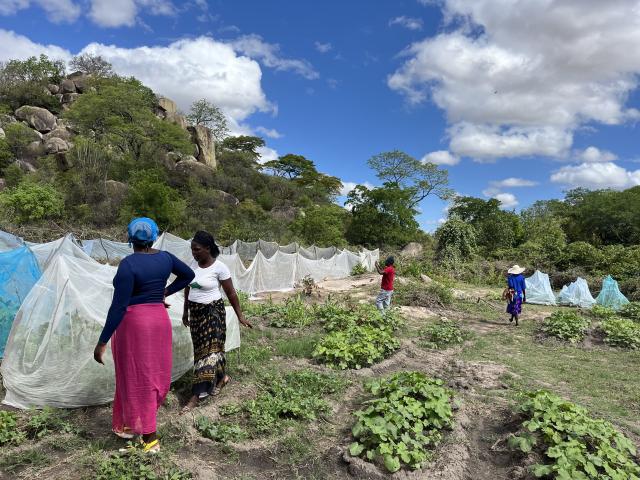 HERD participants tend their community garden