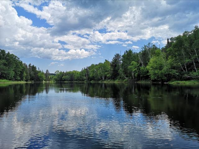 Sunny day on a lake surrounded by trees, the clouds reflecting in the water.