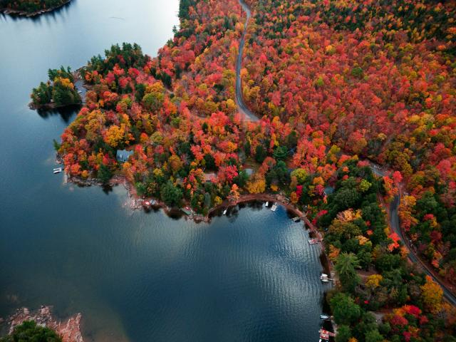 Aerial view of a northern Canadian lake with fall colours.