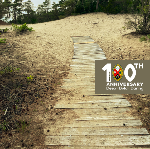 A board walk that leads into Sand dunes; an invitation to a Centennial Celebration. 