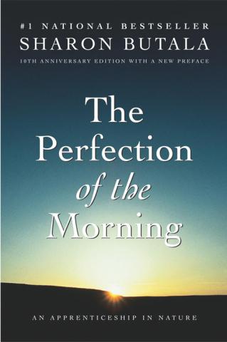 The Perfection of the Morning book cover