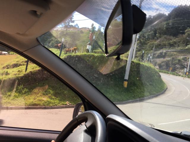 A Colombian roadside landscape, showing a field with cows and a statue of Jesus.