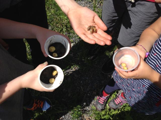 A group of campers at the Vacation Bible School hold a bunch of snails and slugs.